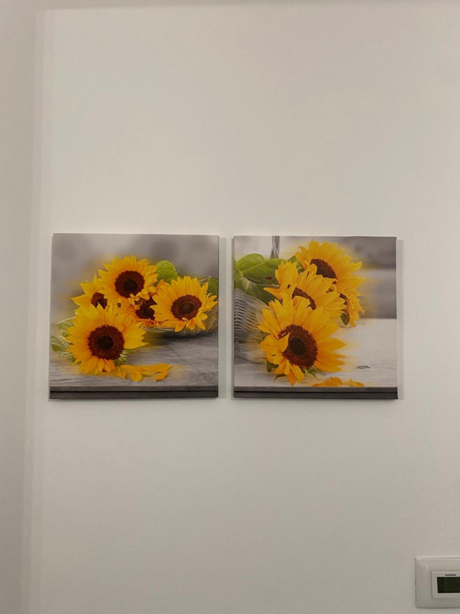 Houses Of Flowers مخرج سبينيا المظهر الخارجي الصورة